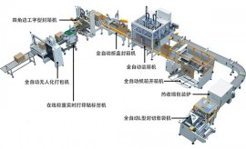 全自動(dòng)包裝碼垛線(xiàn)